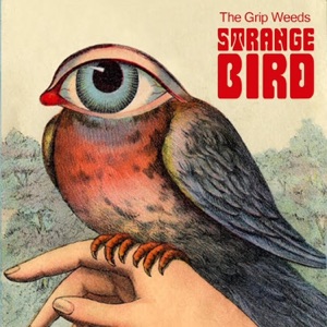 Strange Bird - Single