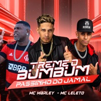 Treme o Bumbum (MC Marley Remix) - Single - MC Leleto