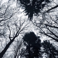 WHERE DID I GO WRONG (feat. TJDUB) - Single - Snowify