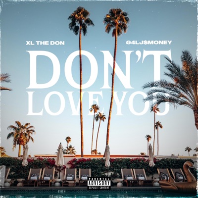 DON'T LOVE YOU (feat. G4LJ$MONEY) - Single
