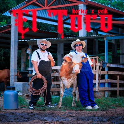 El Toro (feat. Yeik) [Remix] - Single