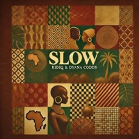 Slow (feat. Dyana Cods) - Single - Ridiq