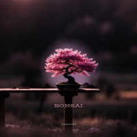 BONSAI - Single - Maximo Kriz