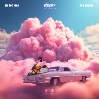 Fly Too High / To be found (feat. Amina) - Single