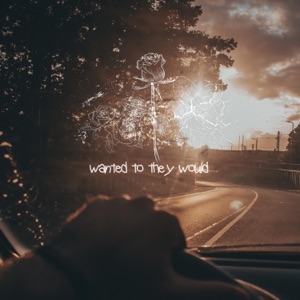 wanted to they would - Single
