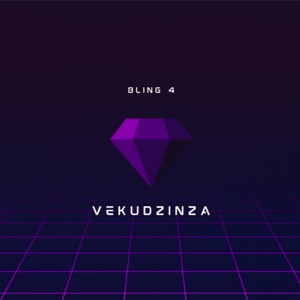 Vekudzinza