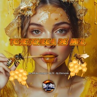 Tchetcheca de Mel (feat. BM HITS PRODUTORA) - Single - MC RR do Campos, DJ TF & Dj Chirivino