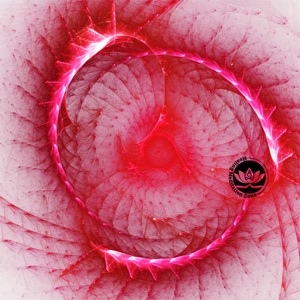 Pineal Gland Activation Sixth Sense and Connection to Higher Consciousness