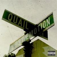 Lost Emotion - Single - Quail P