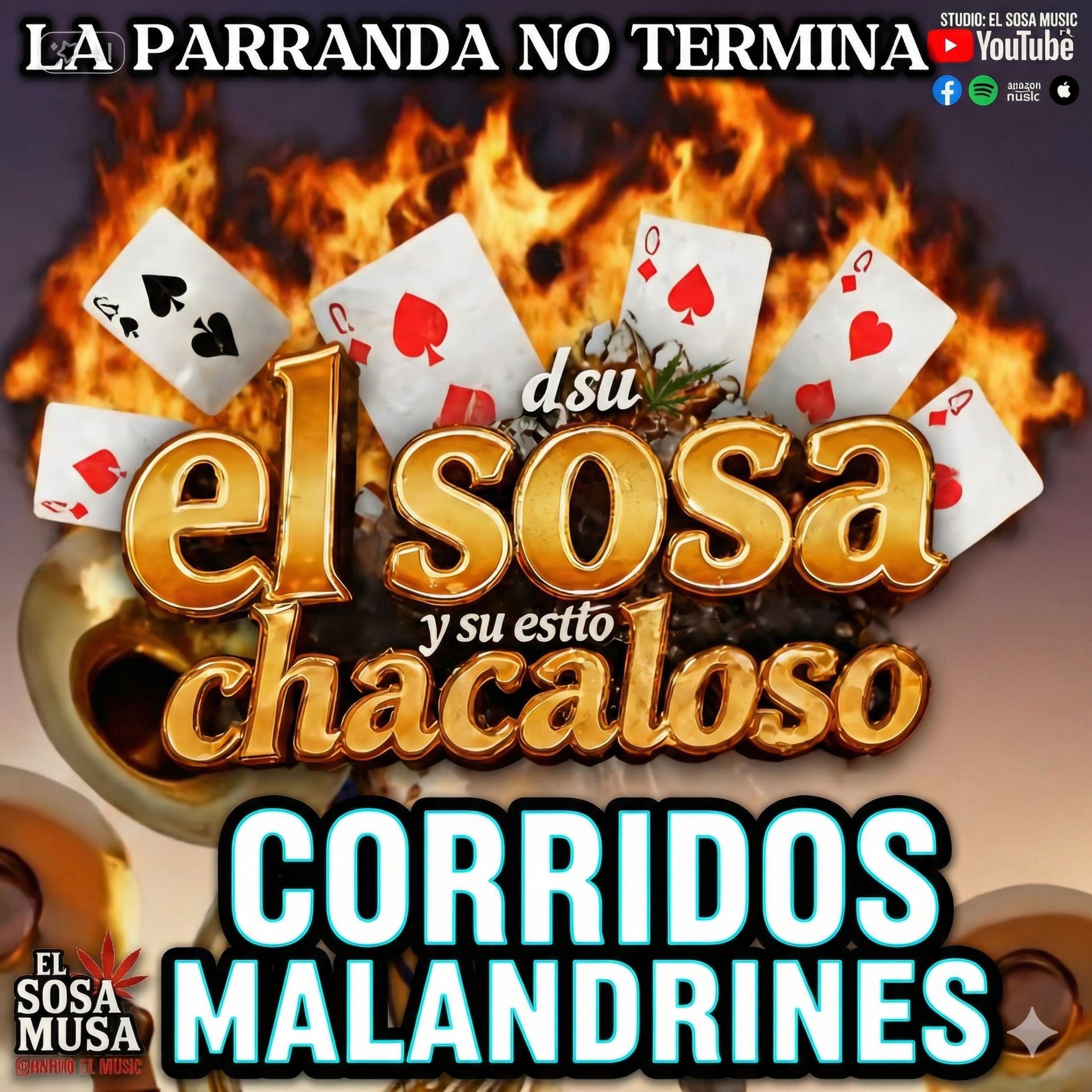 Corridos malandrines vol1