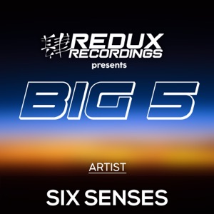 Redux Big 5 of Six Senses - EP
