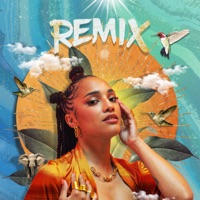 Délivrance (Remix) [feat. Vava Deceptikon & Delta The Leo] - Single - KARABA