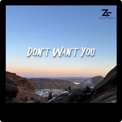 Don't Want You - Single
