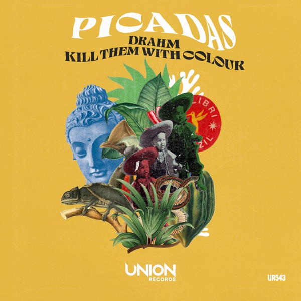 Picadas - Single