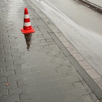 usual - Single - grasior