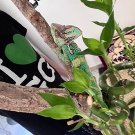 FLC (feat. Sossa Ka$h) eyto