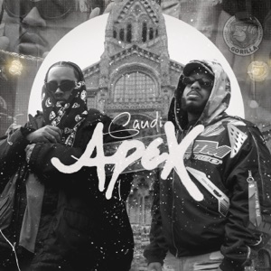 Gaudi Apex - Single