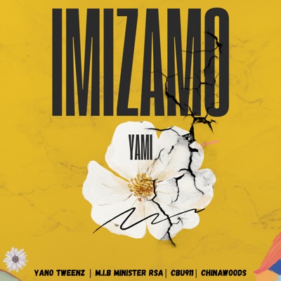 Imizamo Yami - Single