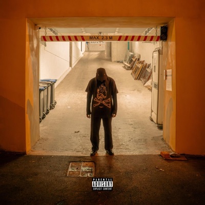 Must Have Seen a Hoax - Single