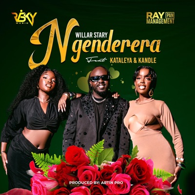 Song - Ngenderera (feat. Kataleya & Kandle Music) - Willar stary