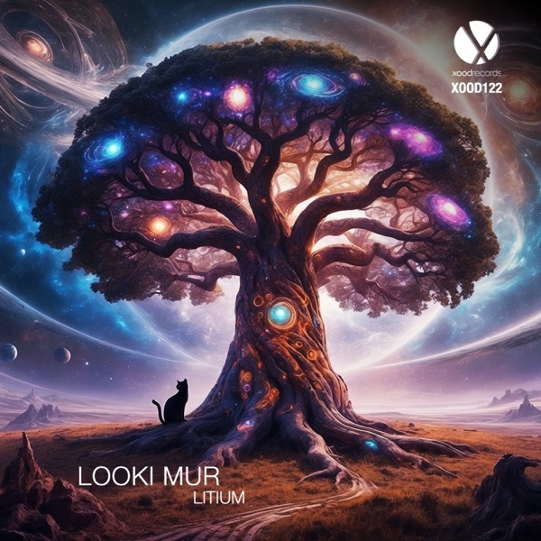 Litium - Single