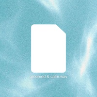 groomed and calm (feat. Belmonts) - Single - dnvn.beats