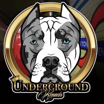 MASET & ALBERT - Single