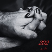 202 - Single - Lu Andre