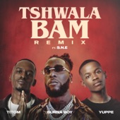 Tshwala Bam (feat. S.N.E) [Remix] artwork