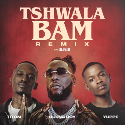 Tshwala Bam (feat. S.N.E) [Remix] cover art