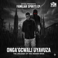 Wayawaya (feat. Zondo ZA, Pablo RSA & Pidoskiey) - Single - Styza Shaun