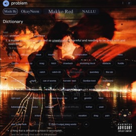 am i the problem ? (feat. NALLU & Makko Red) OkayNeon