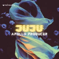Apollo Producer - JUJU