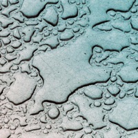 Raindrops (feat. Canon Adkins) - Single - Sweet Honey