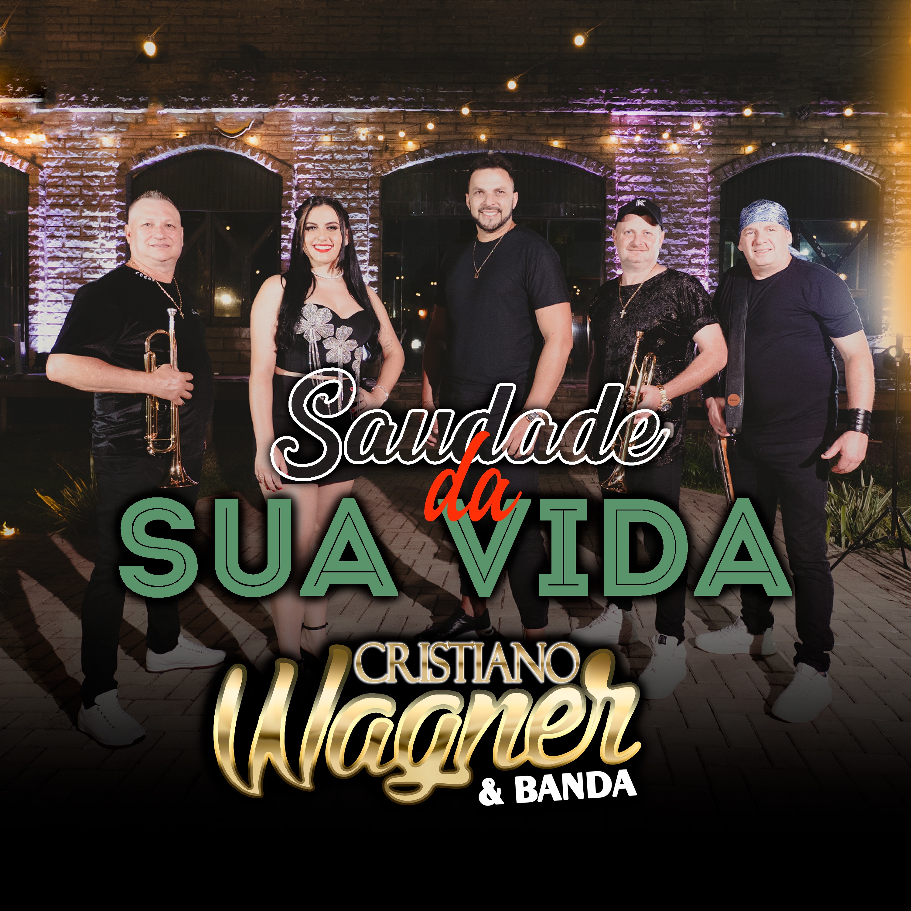Saudade da Sua Vida - Single