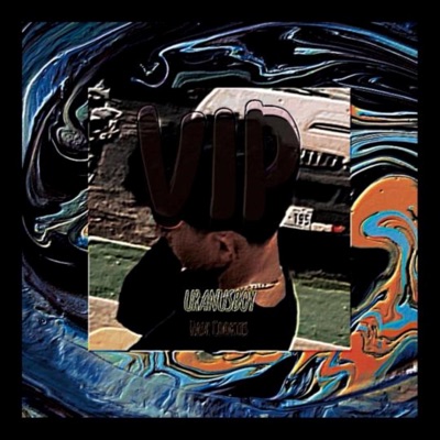 VIP (feat. Hash Cookies) - Single