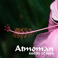 Seeds of love - Single - Atmoman
