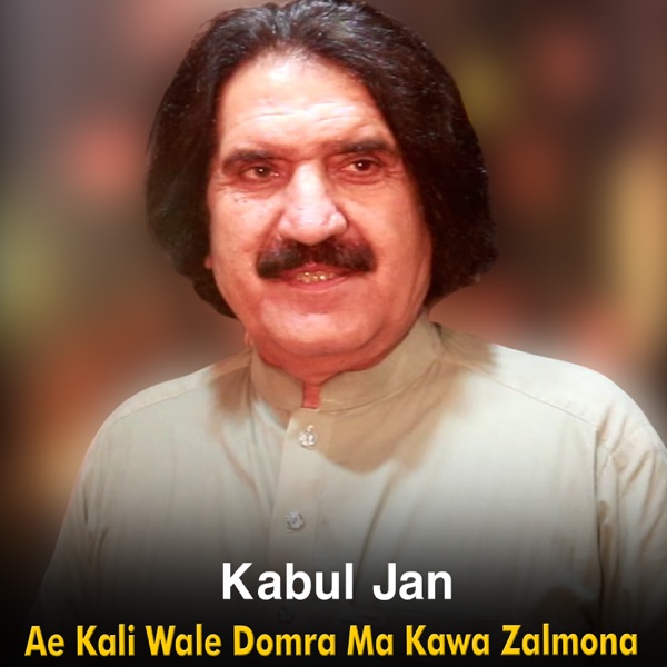 Ae Kali Wale Domra Ma Kawa Zalmona - Single