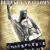 Drunken Swallows - Intro (Chaospoesie)