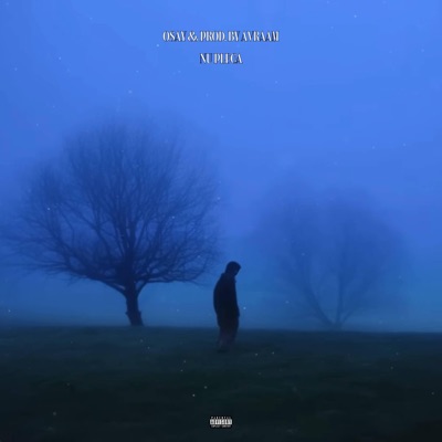 Nu pleca! (feat. Prod. By Avraam) - Single