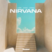 Nirvana artwork