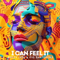 I Can Feel It - Single - Dusty (UK) & Pig Snatchers