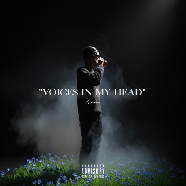 Voices in my head