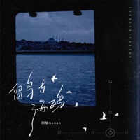 留鸟与海鸥 - Single - 阿煊Axuan