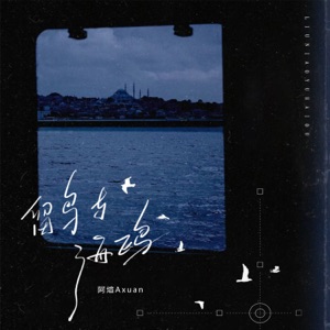 留鸟与海鸥 - Single