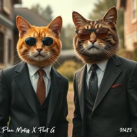 31423 (feat. Flict G) - Single - Plan Motiff