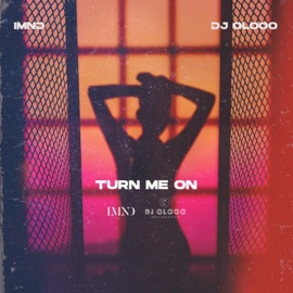 Turn Me On (Acapella) Imnd & DJ Olooo