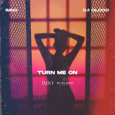 Turn Me On - Single
