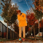 BBC - Single