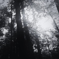 Delusional - Single - xavierlord